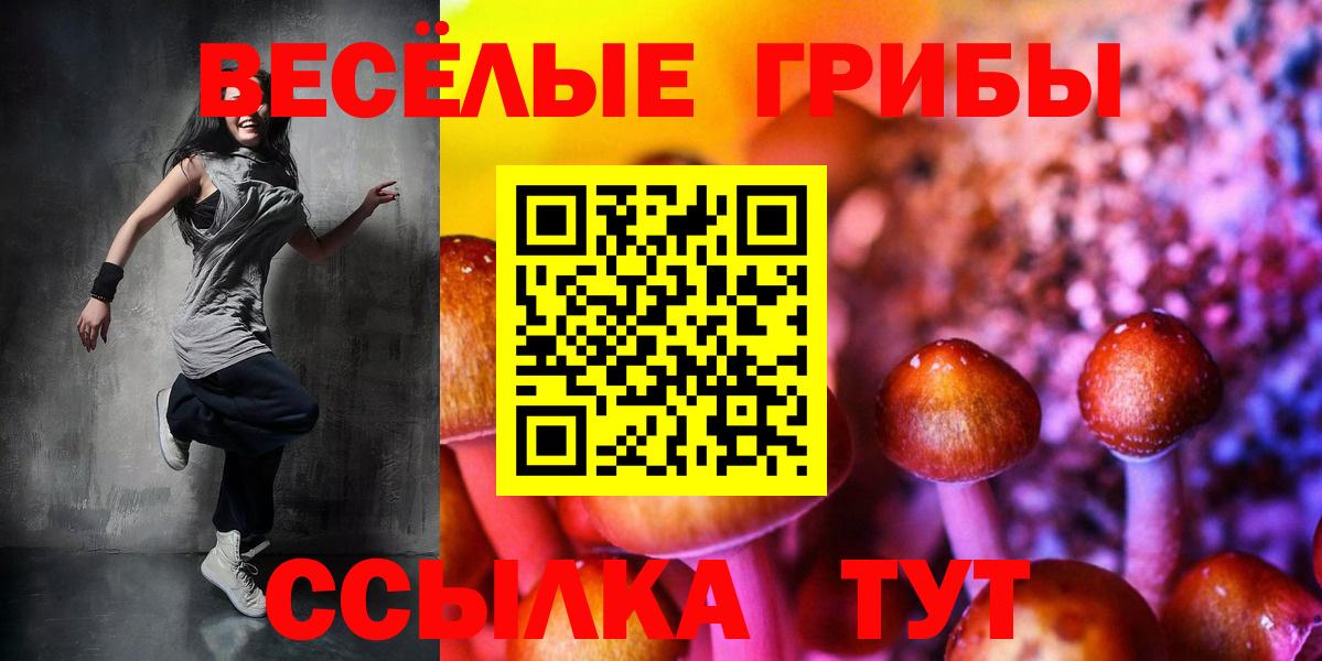 Псилоцибиновые грибы Cubensis Берёзовский