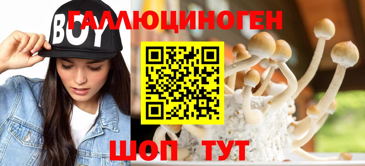 Берёзовский  Галлюциногенные грибы Cubensis  купить наркотик  Галлюциногенные грибы прущие грибы  Вход с VPN 